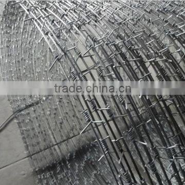 Hot Dipped Galvanized Barbed Wire for Fence