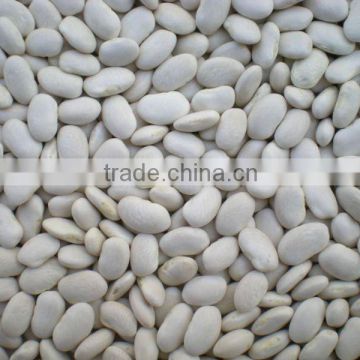 White kidney beans