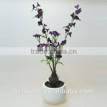 Beauty Potted Flower for Wedding Decoration