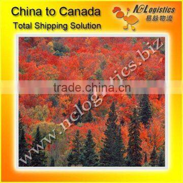 International shipping from Ningbo to Saskatoon,Canada