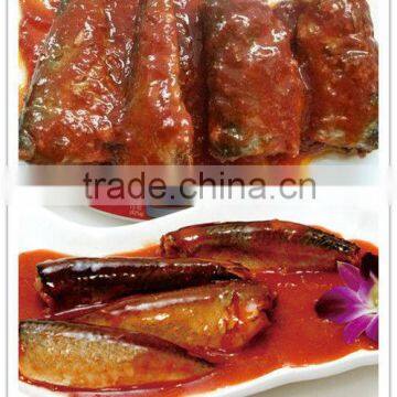 Canned Mackerel Fish in Tomato Sauce photo-4