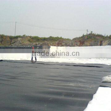 Plastic price hdpe geomembrane with high quality