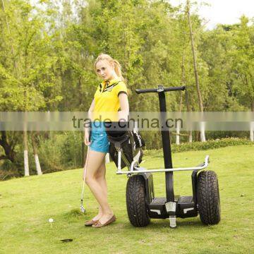 Golf Cart Powerful Chinese Electric Car photo-5