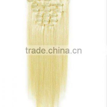 Wholesale Clip Human Hair - Lightest Stock Clip hair Extension