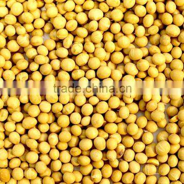 Australian Soybeans