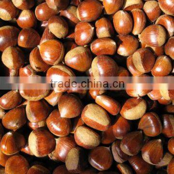 2015 new crop chestnuts food price