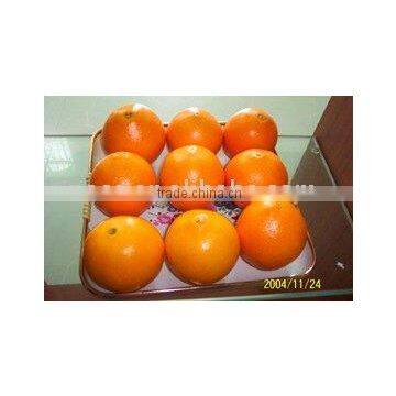 Navel Valencia Orange