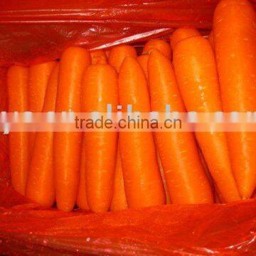 Chinese fresh carrot