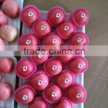 Apple Fruit Fresh photo-5