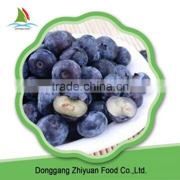 IQF Frozen Blueberry photo-4