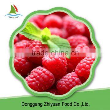 China IQF Frozen Bulk Red And Black Raspberry photo-4
