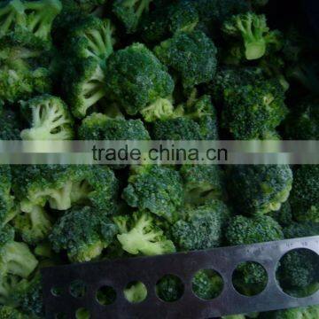 top quality of frozen vegetable 3-5cm frozen broccoli from sunnywellfoods