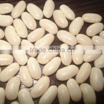 JSX Peeled Chinese White Kidney Beans Selected Food Grade Large White Kidney Beans photo-3