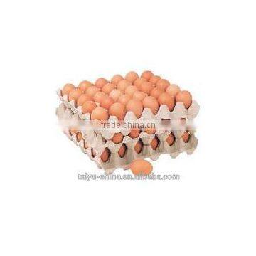 Manufacture egg tray