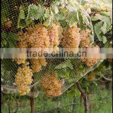 bird mist nets