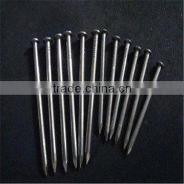 Polish Common Nail From Professional Factory photo-4
