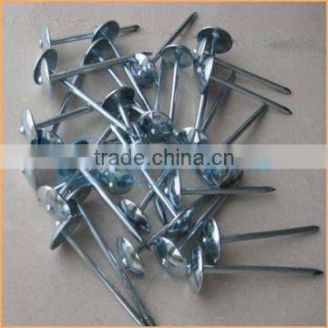 Top Quality Annular Roofing Nails Trusted Chuanghe Suppliers From Com photo-6
