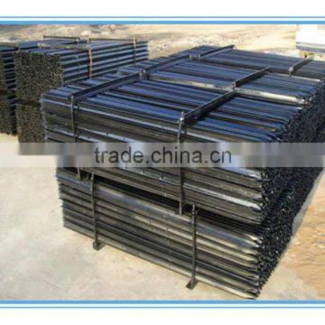 y Star Picket photo-6