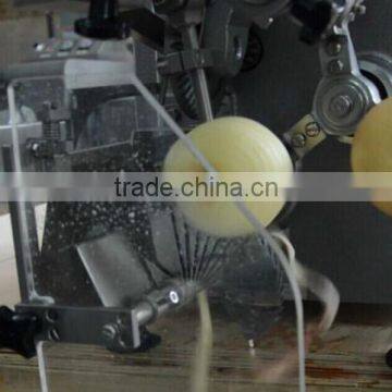 Apple Chips Production Line photo-2