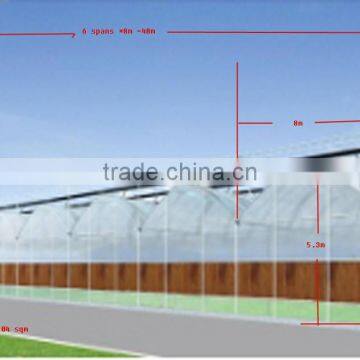 Low Price Tunnel Agriculture Greenhouse for Vegetable photo-2