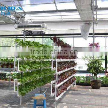 Multi Functional Glass Greenhouse For Hydroponic Greenhouse & Systems photo-3
