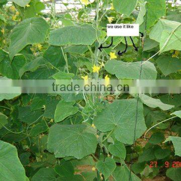 Baler Small Bale photo-6