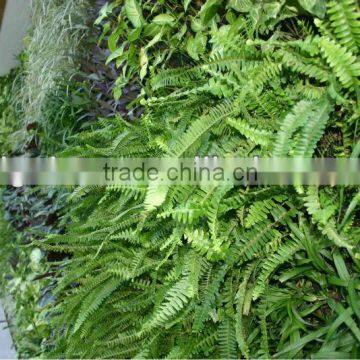 living artificial grass plant wall plastic green wall