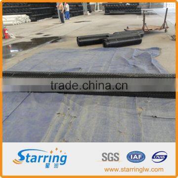 Plastic Netting Biaxial Geogrid Manufacturer photo-6