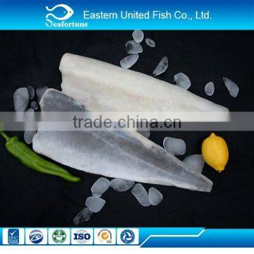 seafood wholesale health eu standards additive frozen saithe fillet