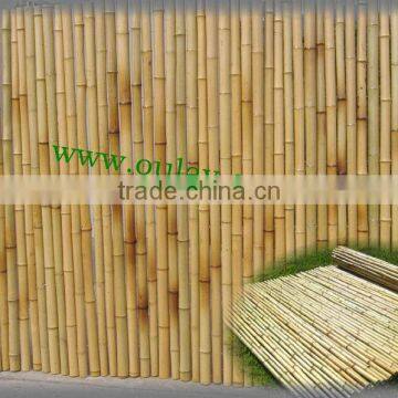 high quality and nature bamboo fence/bamboo fencing/tonkin bamboo fence
