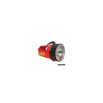 Explosion Proof Light