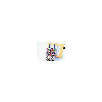 HS-12S/D Single/Double Speed Industrial Wireless Remote Control System for Crane Hoist