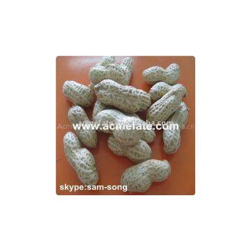 Roasted Peanut In Shell