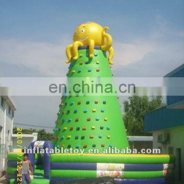 Funny Inflatable Climbing Wall