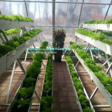 Breeding Cages photo-5