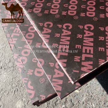 cheap Film faced plywood formwork plywood for concrete
