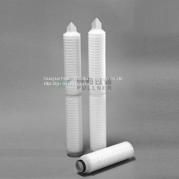 OD 69mm Pharmaceutical Filters Sterile PTFE Micron Pleated Cartridge OEM