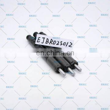 ERIKC EJBR02501Z Original Diesel 2501Z Common Rail Injector EJB R02501Z