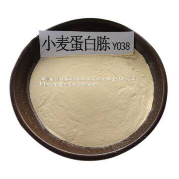 Wheat Peptone