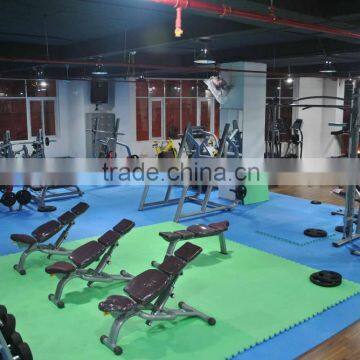 AB Bench /tz-4007/Factory Directly Sale Gym Machine /Commercial Muscle Fitness Equipment photo-4