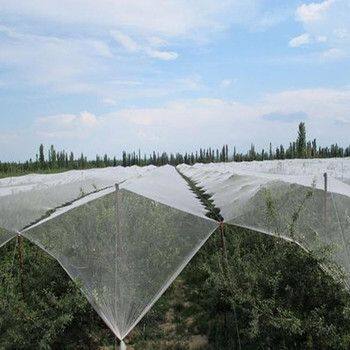 High Density Polyethylene Anti Hail Net Used For Orchard Fruit Trees' Protection Hail Netting Price