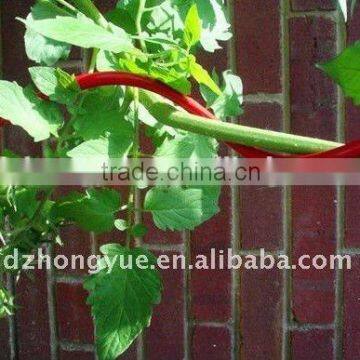 pvc coated garden spiral tomato stakes