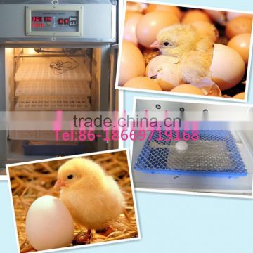 used chicken egg incubator for sale,chicken egg incubator,incubator egg for 10000 egg                        
                                                                Most Popular