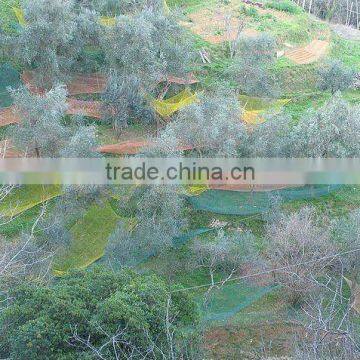 HDPE olive harvest nets /hdpe mesh filter net