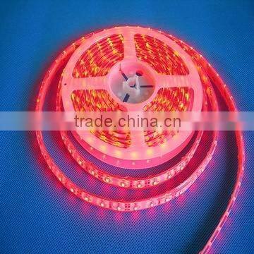 Waterproof Led Strip