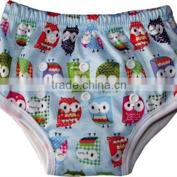 Bamboo Potty Training Pants All In One Size