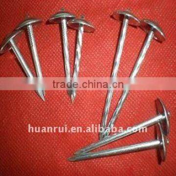 neoprene washer roofing screw3-1