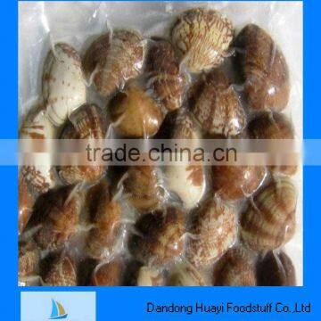 vacuum packed frozen short necked clam