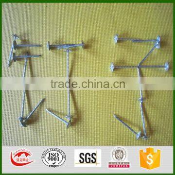 Umbrella Head 1/2"-6" Roofing Nail