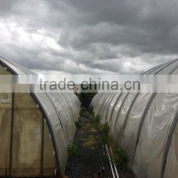 professional factory greenhouse pe plastic film